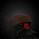 Electric Bike Revi Prowler Light