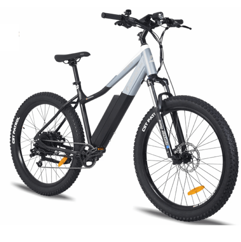 Surface 604 48V Shred Electric Mountain Bike Bikeberry