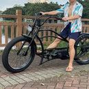 Electric Bike Tracer Legend Black Bridge