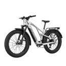 Electric Bike Vanpowers Grand Teton Pro Silver Left Front