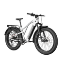 Electric Bike Vanpowers Grand Teton Pro Silver Right Front