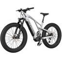 Electric Bike Vanpowers Grand Teton Ultra Silver Left Front