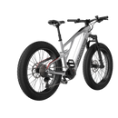 Electric Bike Vanpowers Grand Teton Ultra Silver Right Rear