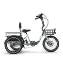 Emojo 500W Dexter Electric Trike