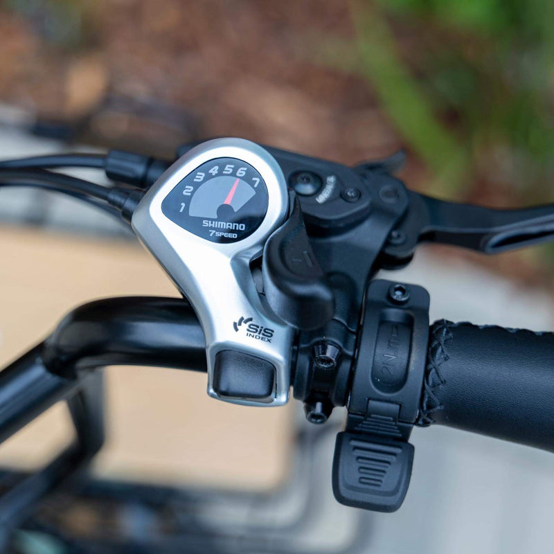 Emojo 500W Dexter Electric Trike