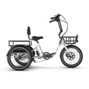 Emojo 500W Dexter Electric Trike