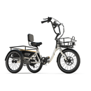 Emojo 500W Dexter Electric Trike