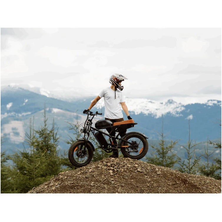 Freego 1000W Flash F3 Pro Max Dual Motor and Battery Electric Bike