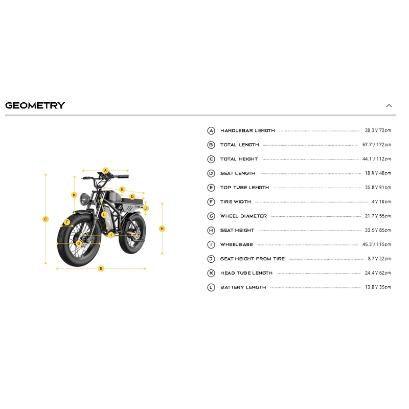 Electric Bike Freego Flash 3 Pro Geometry