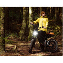 Electric Bike Freego Flash 3 Pro Lifestyle1