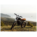 Electric Bike Freego Flash 3 Pro Lifestyle4