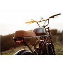 Electric Bike Freego Flash 3 Pro Lifestyle6