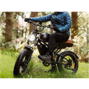 Electric Bike Freego Flash 3 Pro Lifestyle7