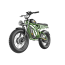 Electric Bike Freego Flash F3 Pro Green Left 1