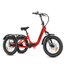 Electric Bike AddMotor M-315 Side