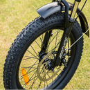 Electric Bike Addmotor Citytan Tire