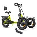 AddMotor 750W 48V SpytanX Reverse Electric Bike