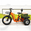 Electric Bike Addmotor Greattan D on concrete with cargo box