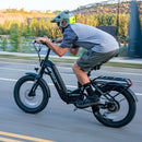 Electric bike Emojo Bobcat Lifestyle 1