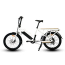 Eunorau 750W MAX-CARGO 2.0 48V14Ah 24"x2.4" Tire Electric Bike