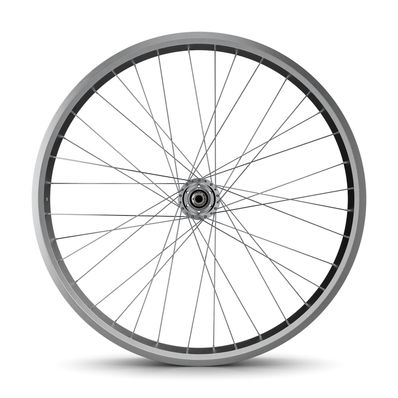 26" Fat Tire Coaster Brake Beach Cruiser Wheel Set (Silver)