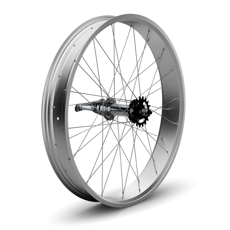 26" Fat Tire Coaster Brake Beach Cruiser Wheel Set (Silver)