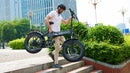 Go Power 750W Express  48V 10.4AH  Fold Electric Bike