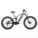 Olic 750W Top Off Road Mountain 2 Motors Electric Bike