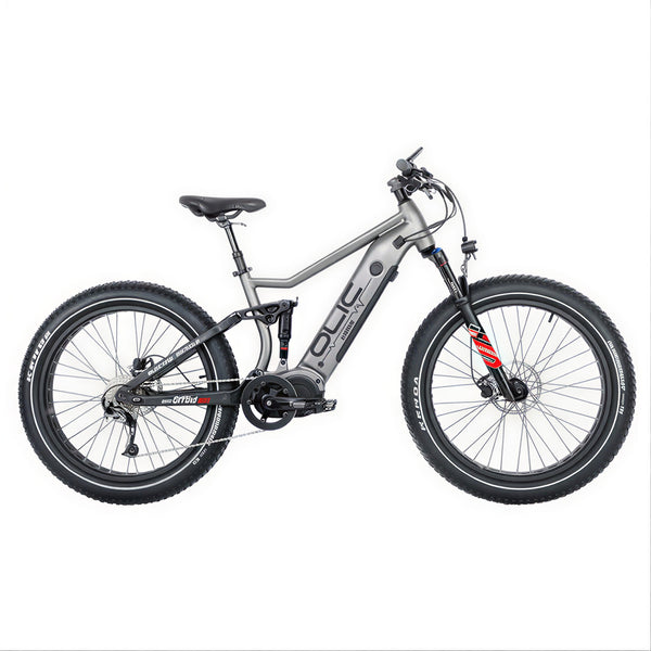 e bike mountainbike 750w Olic 750W Top Off Road Mountain 2 Motors Electric Bike