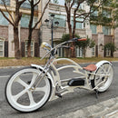 Tracer 800W Raptor Pro DS Chopper Stretch Cruiser  Electric Bike