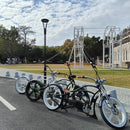 Tracer 800W Raptor Pro DS Chopper Stretch Cruiser  Electric Bike