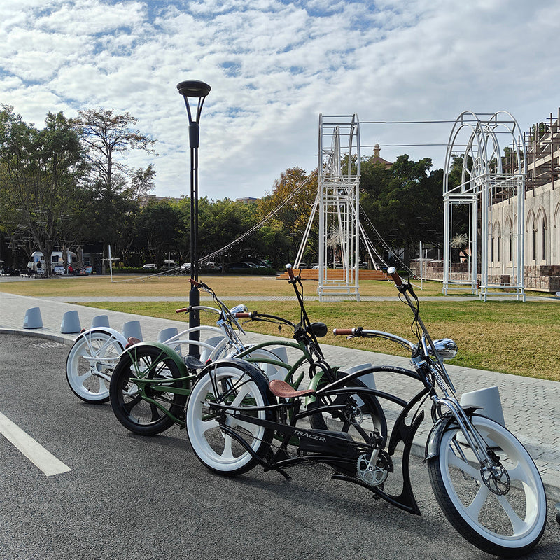 Tracer 800W Raptor Pro DS Chopper Stretch Cruiser  Electric Bike