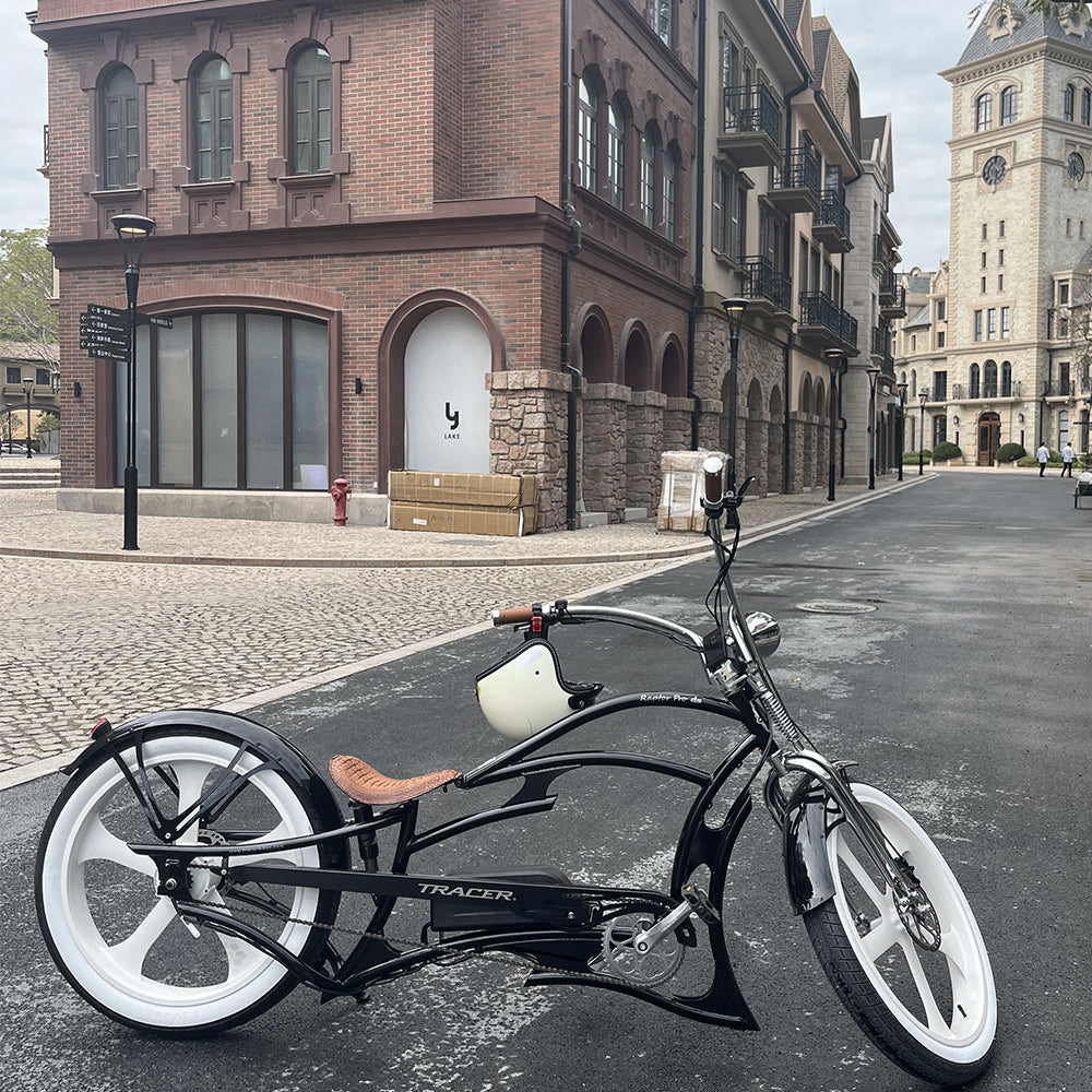 Stretch Mini Raptor Tracer 800W Raptor Pro DS Chopper Stretch Cruiser Electric Bike