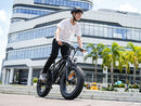 Isinwheel M10Pro 1000W Adult City Commuter Ebike