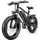 Isinwheel M10Pro 1000W High Performance Offroad Bicycle