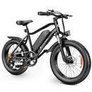 Isinwheel M10Pro 1000W High Performance Offroad Bicycle