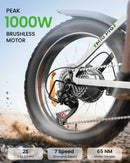 Isinwheel M10Pro 1000W Shimano 7 Speed Gearing System