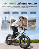 Isinwheel M10Pro 1000W Shock Absorbing Front Suspension Fork