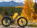 Isinwheel M60 750W Fall Season All Terrain Ebike