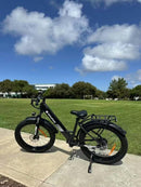 Isinwheel M60 750W Suburban Park Cruiser Bike