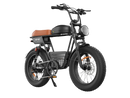 Isinwheel R6 Pro Coastal Cruiser