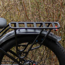 Kingbull Hunter 2.0S Rear Cargo Rack Close Up