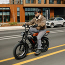 Kingbull_Ranger_City_Street_Rider
