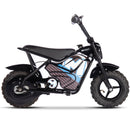 MotoTec 250w Electric Powered 24v Mini Bike