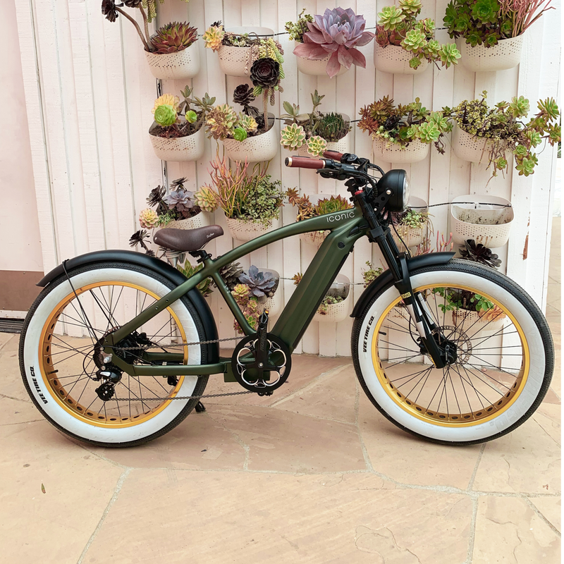 Electric Bike Iconic Cruiser Green Lifestyle