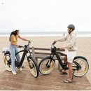Electric Bike Iconic Cruiser Green Lifestyle