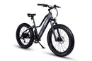 Dirwin 750W Pioneer Lite Hunting Electric Bike