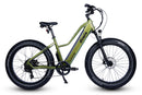 Dirwin 750W Pioneer Lite Hunting Electric Bike