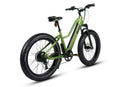 Dirwin 750W Pioneer Lite Hunting Electric Bike