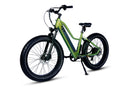 Dirwin 750W Pioneer Lite Hunting Electric Bike